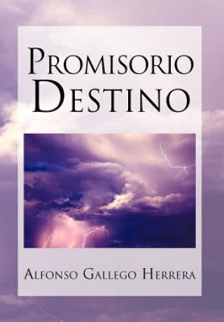 Книга Promisorio Destino Alfonso Gallego Herrera