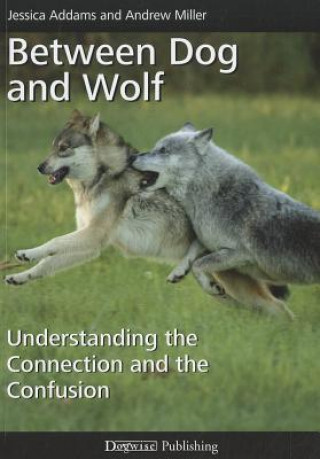 Книга Between Dog and Wolf Andrew Miller