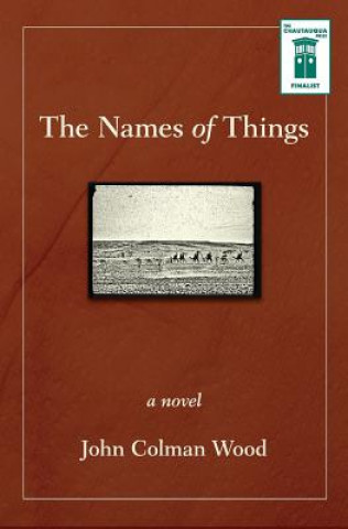 Kniha Names of Things John Colman Wood