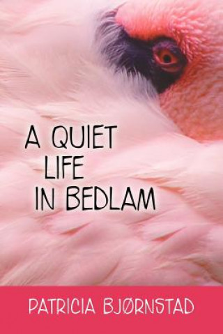 Kniha Quiet Life in Bedlam Patricia Bj Rnstad