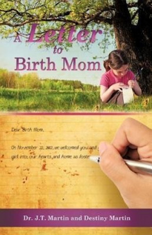 Kniha Letter to Birth Mom Destiny Martin