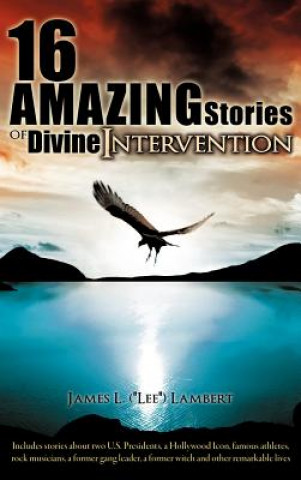 Книга 16 Amazing Stories of Divine Intervention James L Lambert