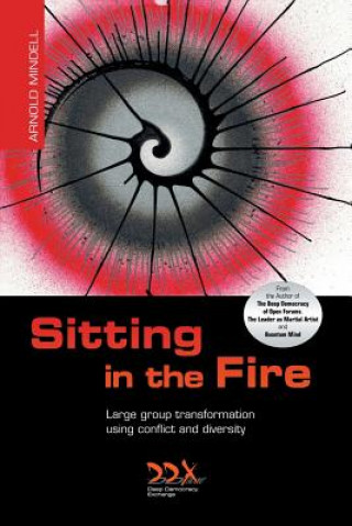 Книга Sitting in the Fire Mindell
