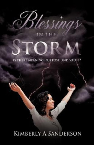 Buch Blessings in the Storm Kimberly A Sanderson