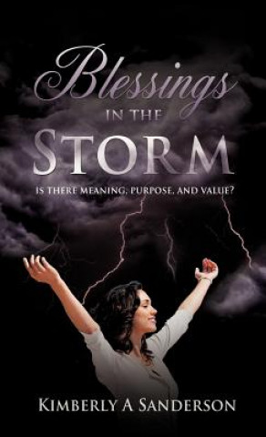 Książka Blessings in the Storm Kimberly A Sanderson