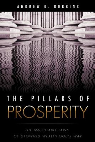 Könyv Pillars of Prosperity Andrew G Robbins