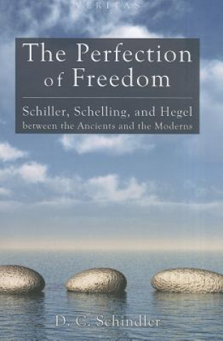 Kniha Perfection of Freedom D. C. Schindler