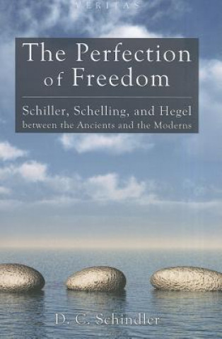 Книга Perfection of Freedom D. C. Schindler