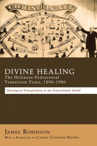 Buch Divine Healing: The Holiness-Pentecostal Transition Years, 1890-1906 James Robinson