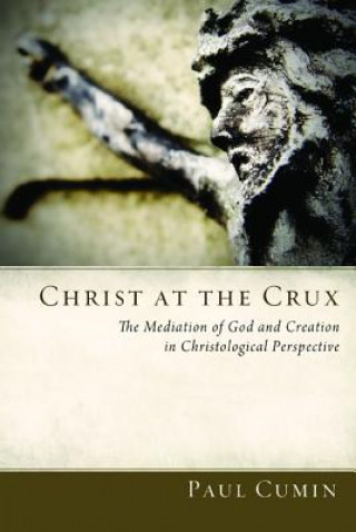 Kniha Christ at the Crux Paul Cumin