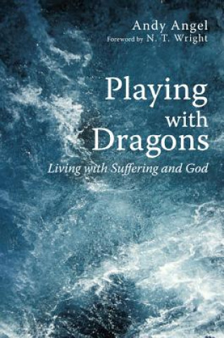 Buch Playing with Dragons Andrew R Angel