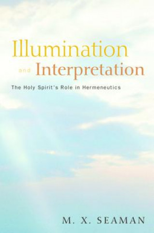 Buch Illumination and Interpretation M. X. Seaman