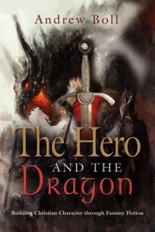 Kniha Hero and the Dragon Andrew Boll