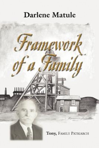 Kniha Framework of a Family Darlene Matule