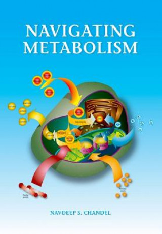Könyv Navigating Metabolism Navdeep Chandel