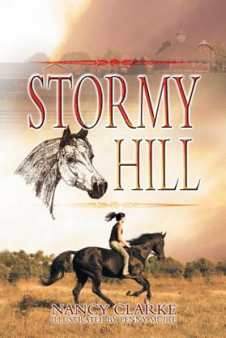 Kniha Stormy Hill Nancy Clarke