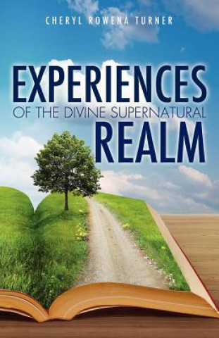 Kniha Experiences of the Divine Supernatural Realm Cheryl Rowena Turner