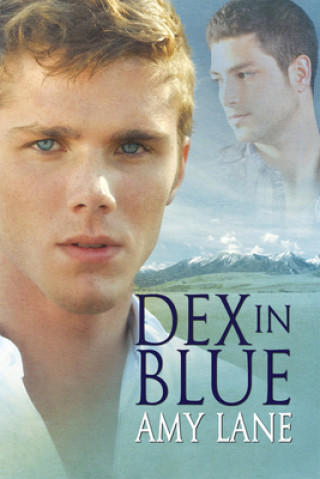 Kniha Dex in Blue Amy Lane