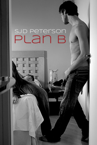 Könyv Plan B Sjd Peterson
