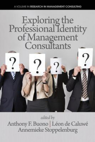 Buch Exploring the Professional Identity of Management Consultants 