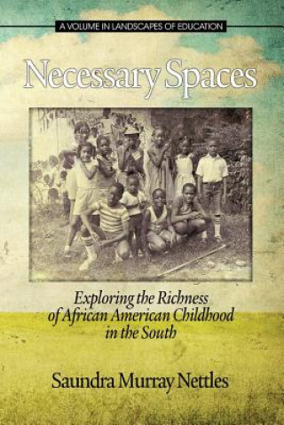 Kniha Necessary Spaces Saundra Murray Nettles