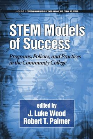 Kniha STEM Models of Success Robert T. Palmer