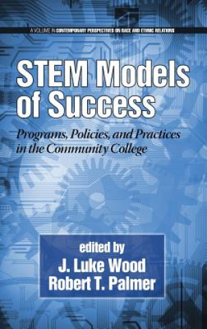 Kniha STEM Models of Success Robert T. Palmer