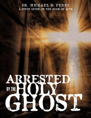 Kniha Arrested by the Holy Ghost Dr Michael D Perry