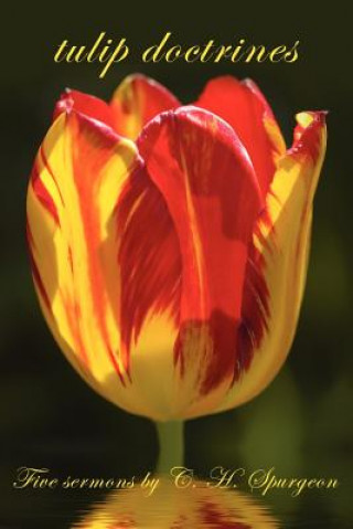 Kniha tulip doctrines Charles Haddon Spurgeon