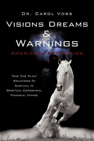 Carte Visions Dreams and Warnings America In Transition Dr Carol Voss
