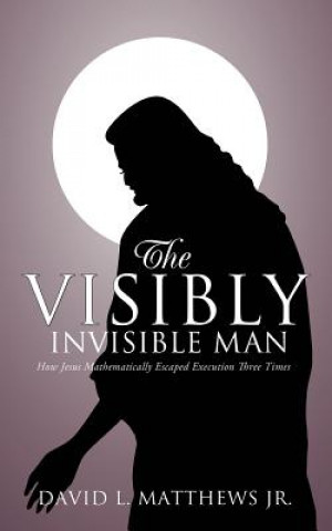 Kniha Visibly Invisible Man David L Matthews Jr