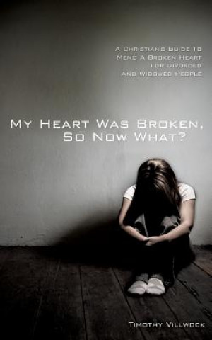 Buch My Heart Was Broken, So Now What? Timothy Villwock