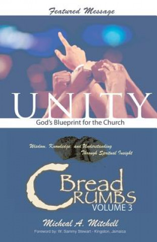 Książka Unity God's Blueprint for the Church Micheal A Mitchell