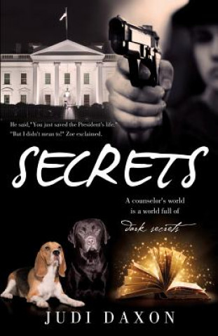 Kniha Secrets Judi Daxon