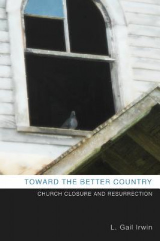 Livre Toward the Better Country L Gail Irwin