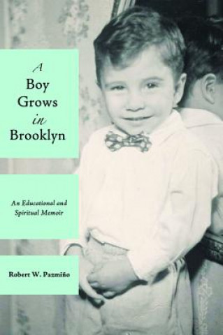 Buch Boy Grows in Brooklyn Robert W Pazmino