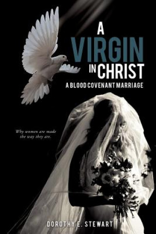 Buch Virgin in Christ Dorothy E Stewart