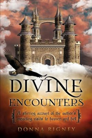 Book Divine Encounters Donna Rigney