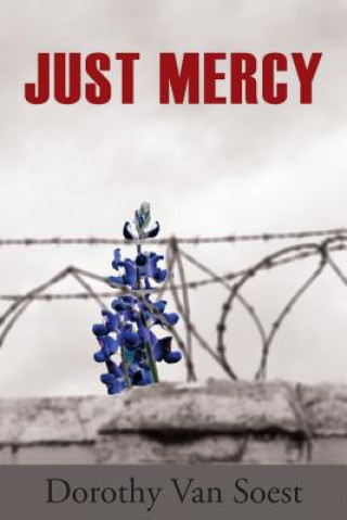 Buch Just Mercy Dorothy Van Soest