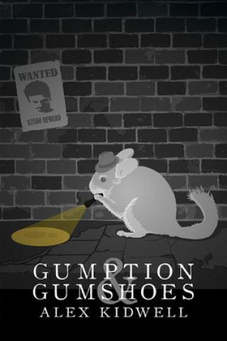 Kniha Gumption & Gumshoes Alex Kidwell