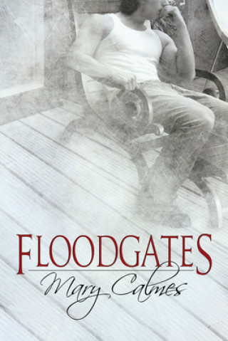 Kniha Floodgates Mary Calmes