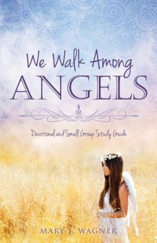 Kniha We Walk Among Angels Mary J Wagner