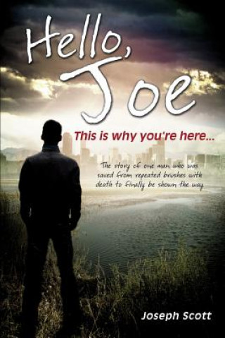 Kniha Hello, Joe Joseph Scott
