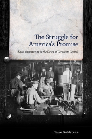 Könyv Struggle for America's Promise Claire Goldstene