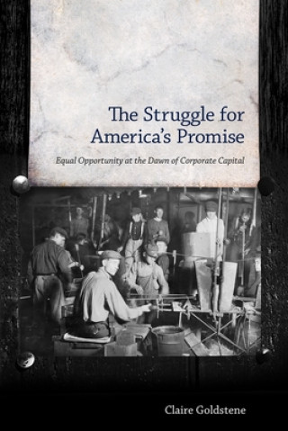 Buch Struggle for America's Promise Claire Goldstene