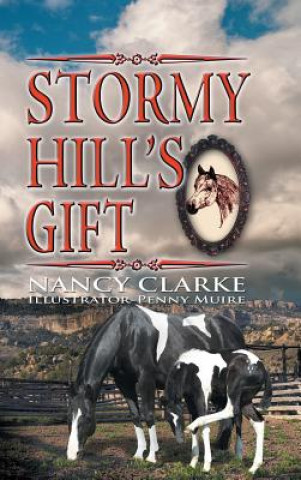 Książka Stormy Hill's Gift Nancy Clarke