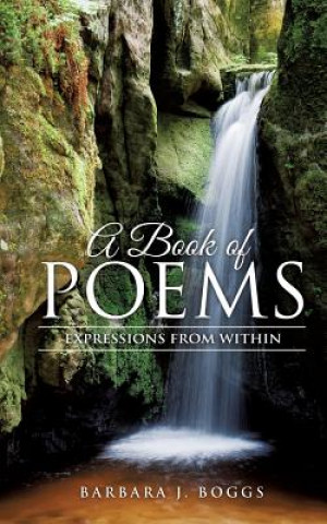 Book Book of Poems Barbara J Boggs