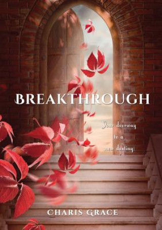 Buch Breakthrough Saleama a Ruvalcaba