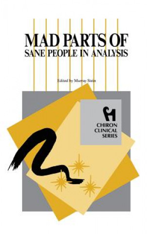 Kniha Mad Parts of Sane People in Analysis (Chiron Clinical Series) Murray Stein