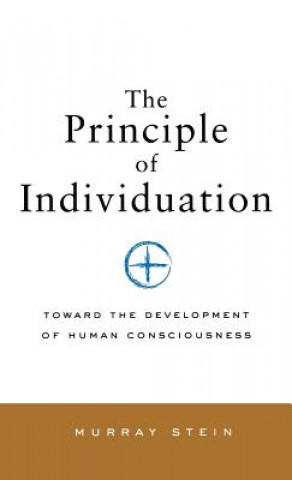 Kniha Principle of Individuation Stein